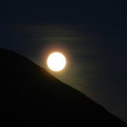DSCN5443